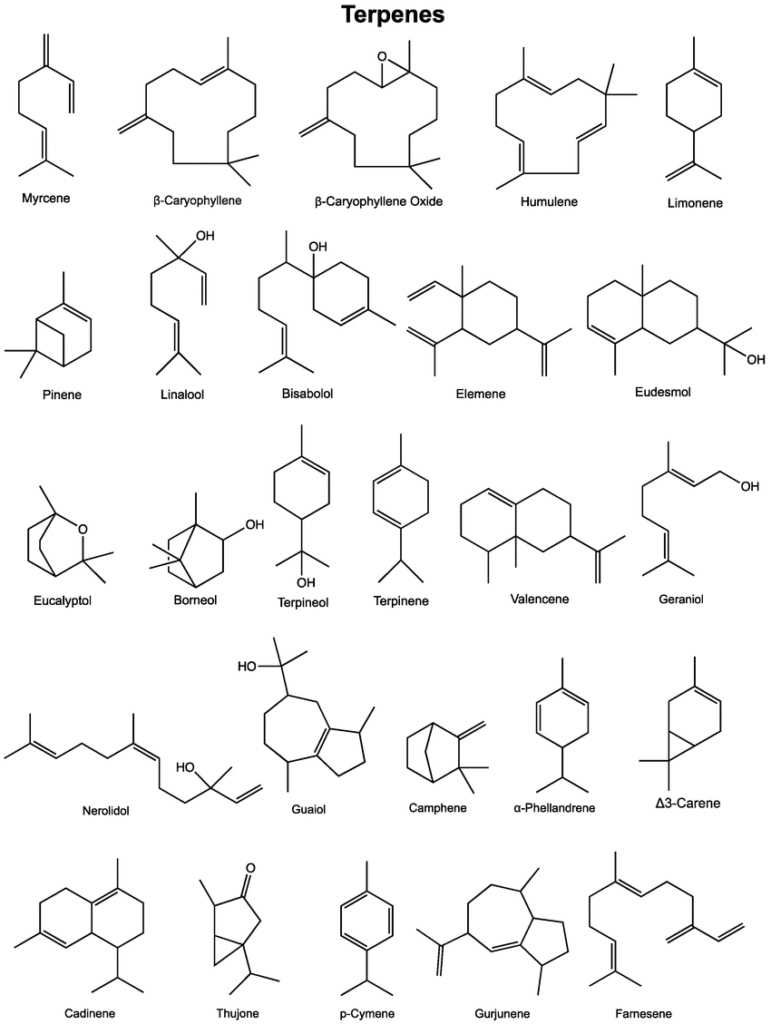 Chemical structures of common cannabis terpenes