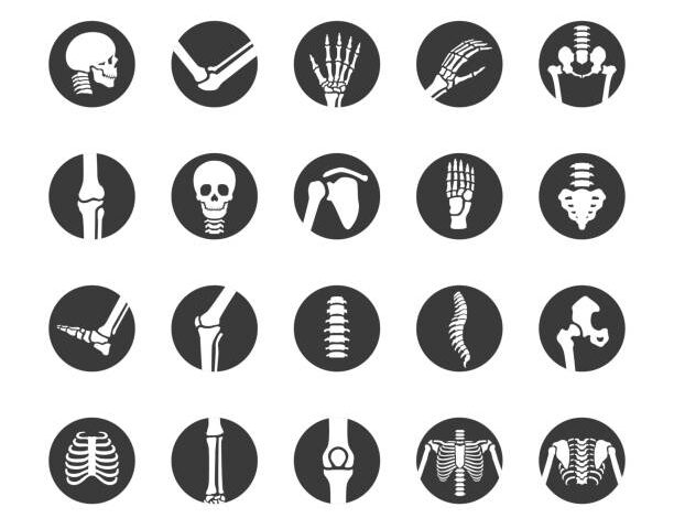Orthopedics — musculoskeletal montage