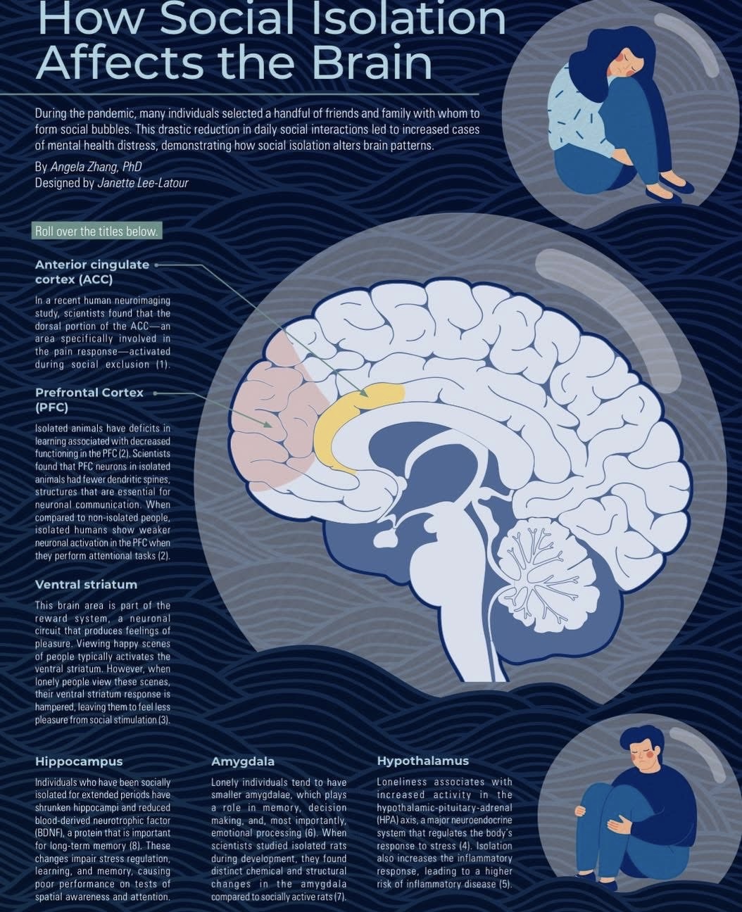 How social isolation affects the brain